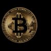 bitcoin, gold, coin, icon, symbol, logo, bitcoin gold, bitcoin logo, currency, cryptocurrency, black background, bitcoin, bitcoin, bitcoin, bitcoin, logo, logo, logo, logo, logo, bitcoin logo, bitcoin logo, bitcoin logo