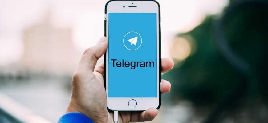 smartphone, iphone, telegram, hand, phone in hand, messenger, message, chat, service, exchange, friendship, communication, platform, the logo, bell, telegram, telegram, telegram, telegram, telegram